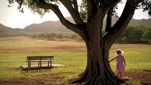 АФФИРМАЦИИ ГАРМОНИИ И ПРОЦВЕТАНИЯ смотреть онлайн