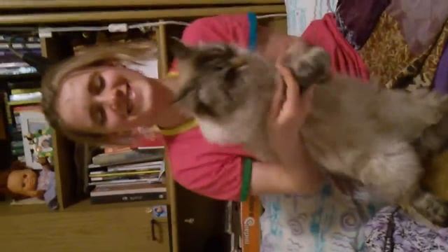 Скай aka Гарфилд смотреть онлайн