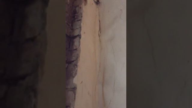 Установка домофона на новую дверь в одном из домов старого фонда Калининград смотреть онлайн