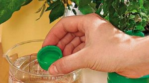 Цветы растут, как на ДРОЖЖАХ. Подкормка комнатных растений