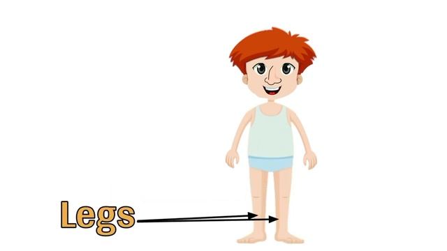 Body parts | Vocabulary | Human body parts | Educational video for toddlers смотреть онлайн