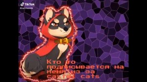 ?~Подборка Castle Cats из Тик Тока • 6/?~?