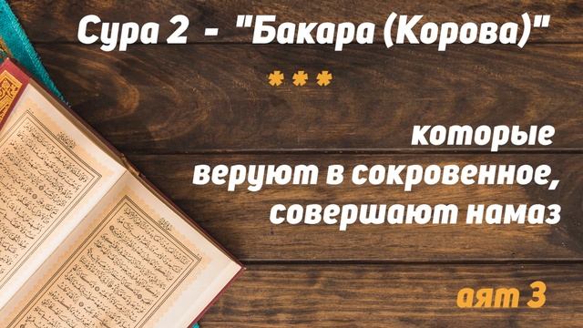 Сура АЛЬ БАКАРА 1-5 с переводом /Первые 5 аятов/Аяты с переводом из суры Аль Бакара/ Сальман Ар Рус смотреть онлайн