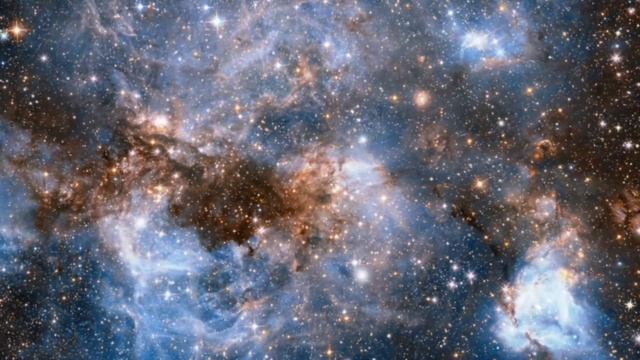 Единство и общность