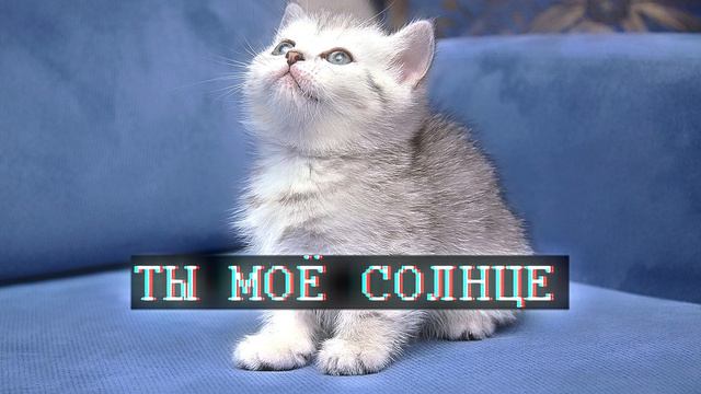 Сборник ПЕСЕН Nyan.mp3 (3 песни) !
