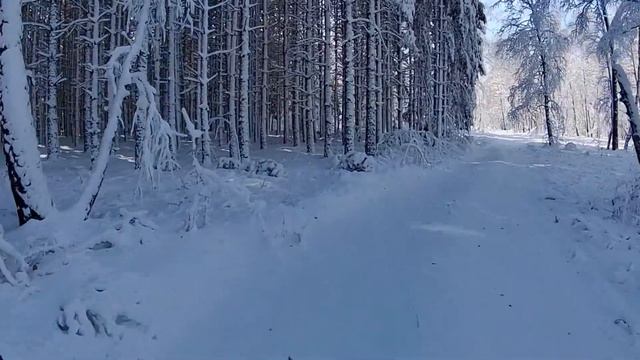 Обычная мото прогулка по лесу в первый снежок))) 21.10.2021 смотреть онлайн