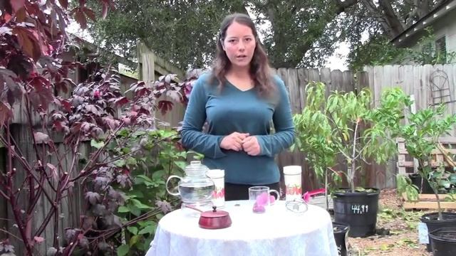 GDG - Cranberry Hibiscus Tea смотреть онлайн