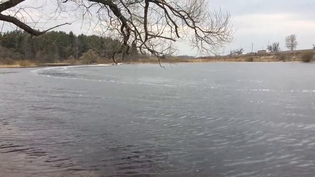 Водомётный катер. Малая Химкинская судоверфь. Прогрев двигателя. смотреть онлайн