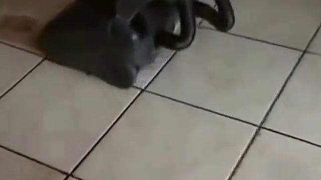 Поломоечная машина