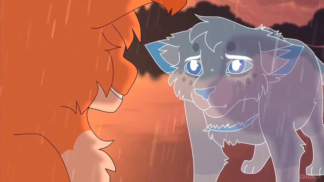 Warriors Cats Animation//Squirreflight & Ashfur .  Анимация коты воители // Белка и уголек
