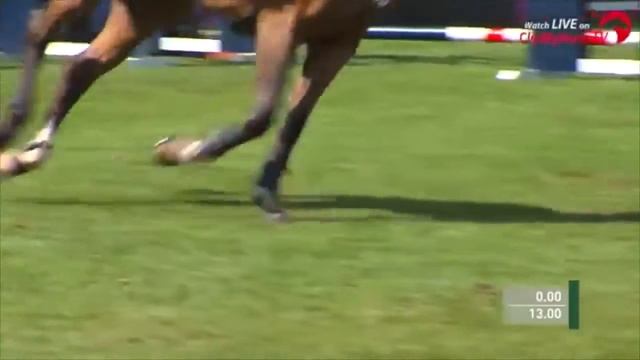 Eye Of The Tiger | Equestrian Music Video