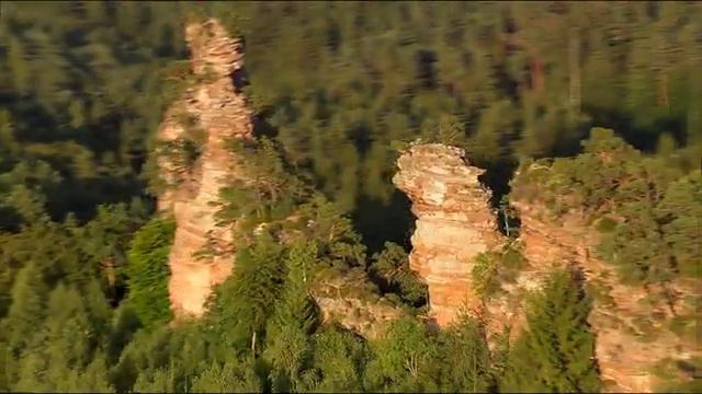 Дикая Природа Германии - Пфальцский Лес смотреть онлайн