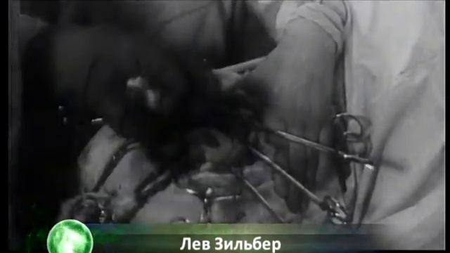 Лев Зильбер.avi смотреть онлайн