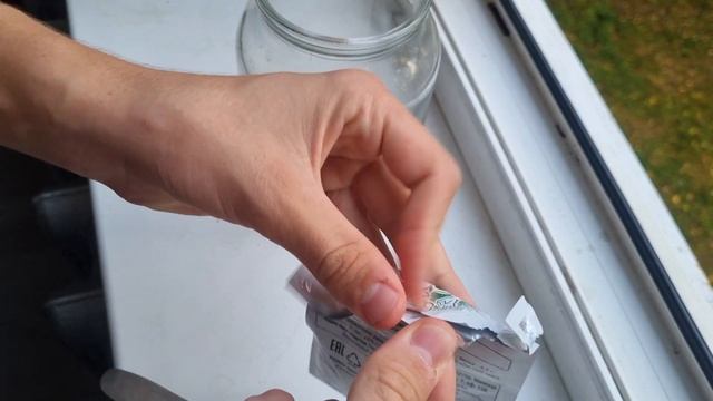 Всего 1 Чайная Ложка под Спатифиллум и Он Оживёт, Позеленеет и Расцветёт! МАЛО КТО ЗНАЕТ ЭТО смотреть онлайн