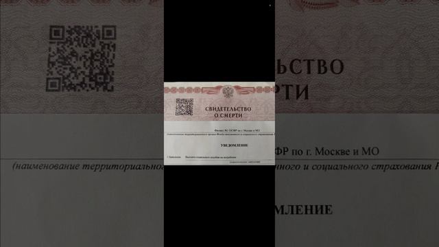 Просто жизнь