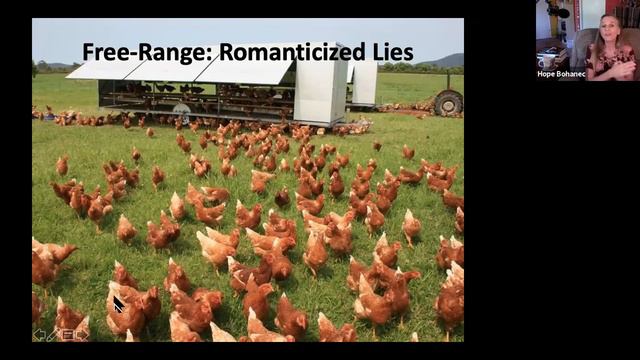 The Humane Hoax Chicken Webinar смотреть онлайн