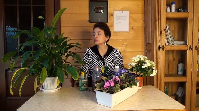 Защита цветущих комнатных растений. Биопрепарат "Трихоплант" смотреть онлайн