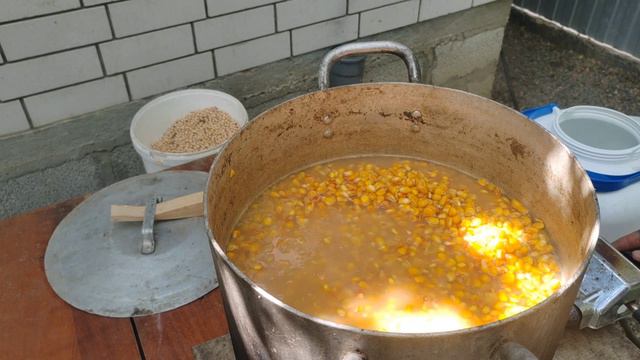 ферментированная кукуруза на пивных дрожжах