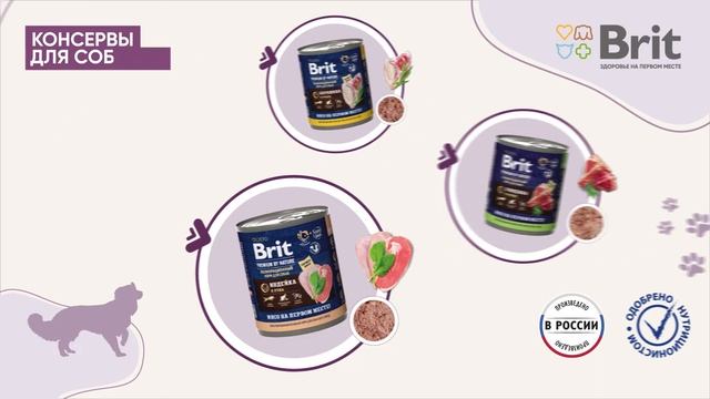 Сухие и влажные корма для кошек и собак Brit смотреть онлайн