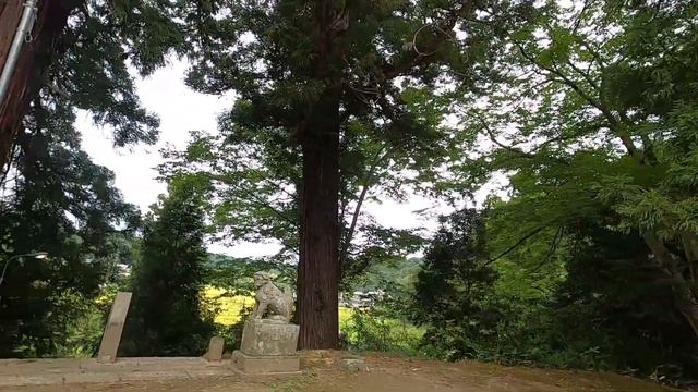 【ぶらり神社下車】#1　千葉県 смотреть онлайн