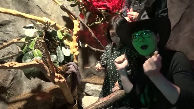 보람이의 주렁주렁 동물원 할로윈 파티 Kids Halloween Collection смотреть онлайн