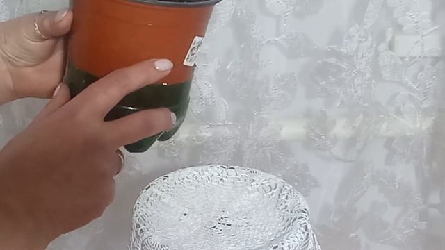 Обрезка растений как стимулятор роста (часть 2) смотреть онлайн