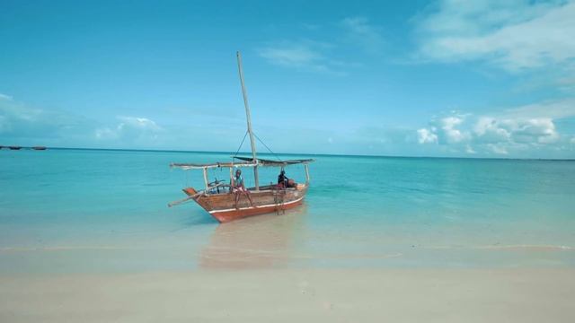 Hand Gesture Transitions Fcpx