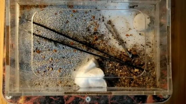 Спальные новаторства