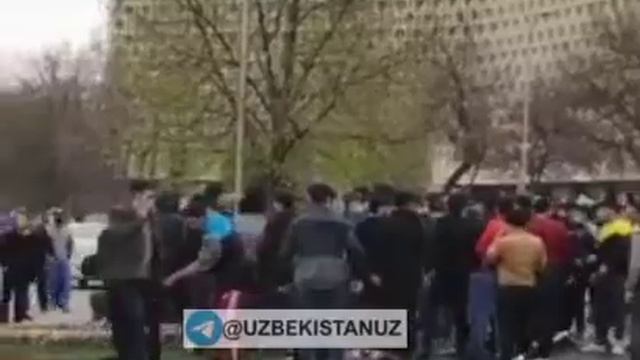 #Тезкор Айни дамда Амир Темур хиёбони - "Сквер"даги ҳолат.ЛГТтарафдорларига қарши тўпланишибди!? q1 смотреть онлайн