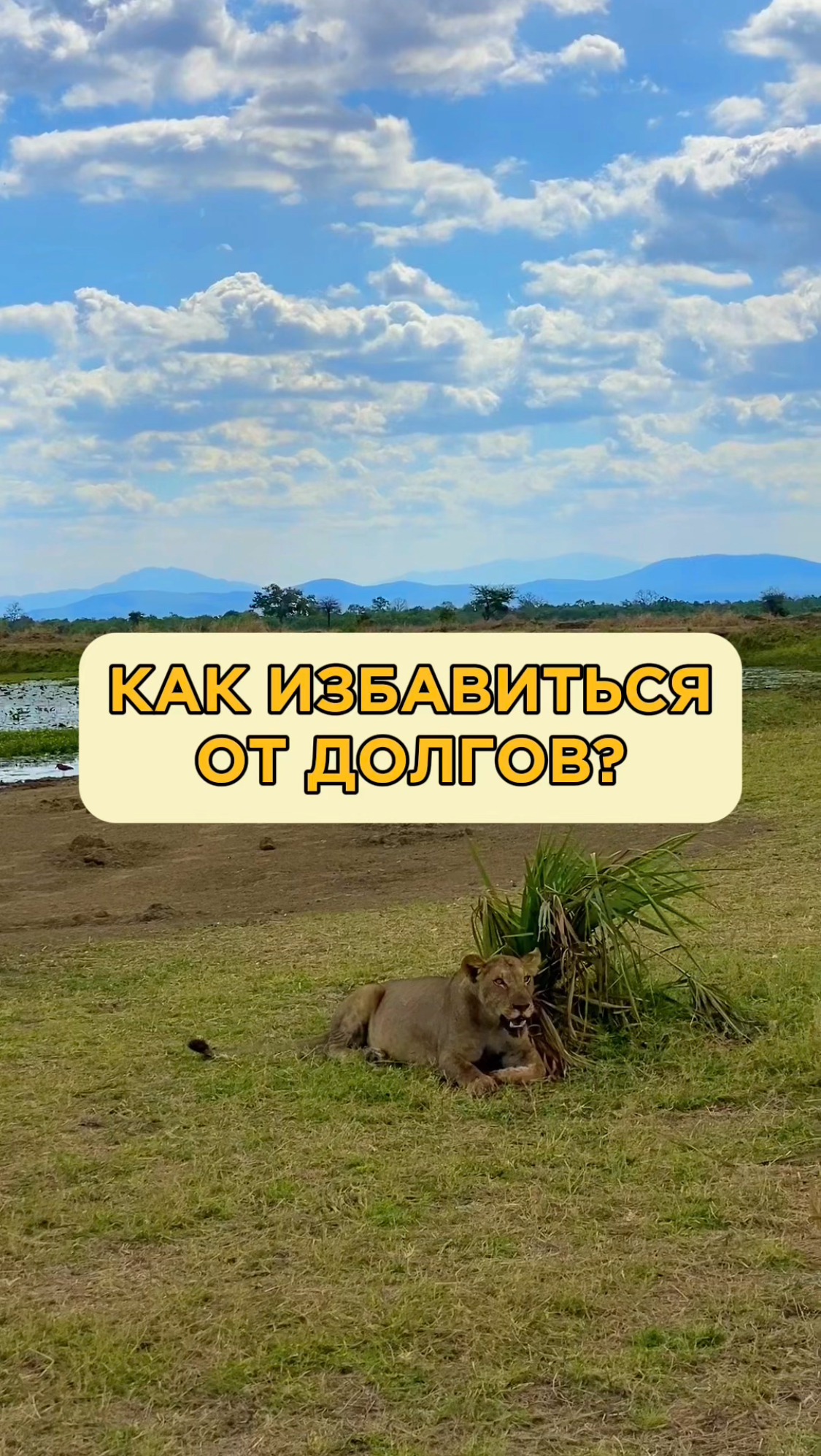 Как избавиться от долгов? 2 способа