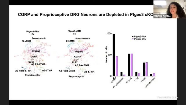 Neuro Zoom (12/05/2022) – Husniye Kantarci (Stanford University) and Alejandro Chavez (UCSC) смотреть онлайн