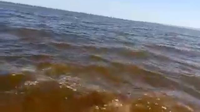 Цветение моря в Затоке, 20.9.18 смотреть онлайн