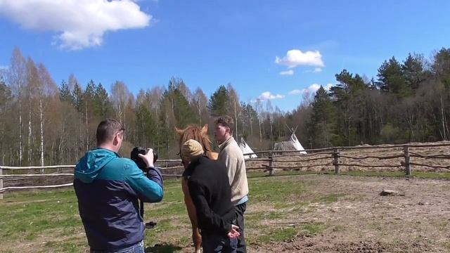 Можно ли сказать, что вожак в волчьей стае управляет стаей? смотреть онлайн
