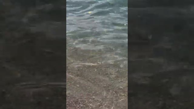 Прокат аквабайка на море / Катаюсь на гидроцикле / Взял в прокат / Моя места детсва смотреть онлайн