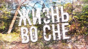 Страшные истории на ночь-Жизнь во сне