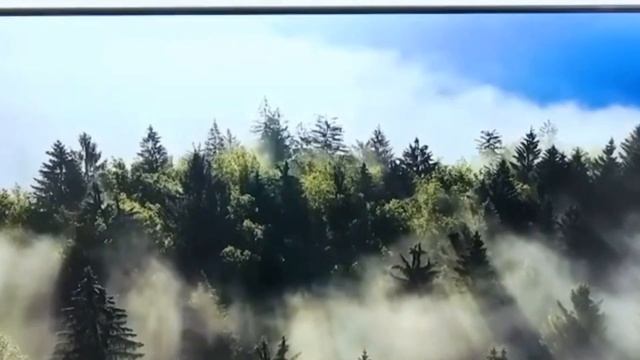 Телевизор Irbis 32H1T059B 2022 смотреть онлайн