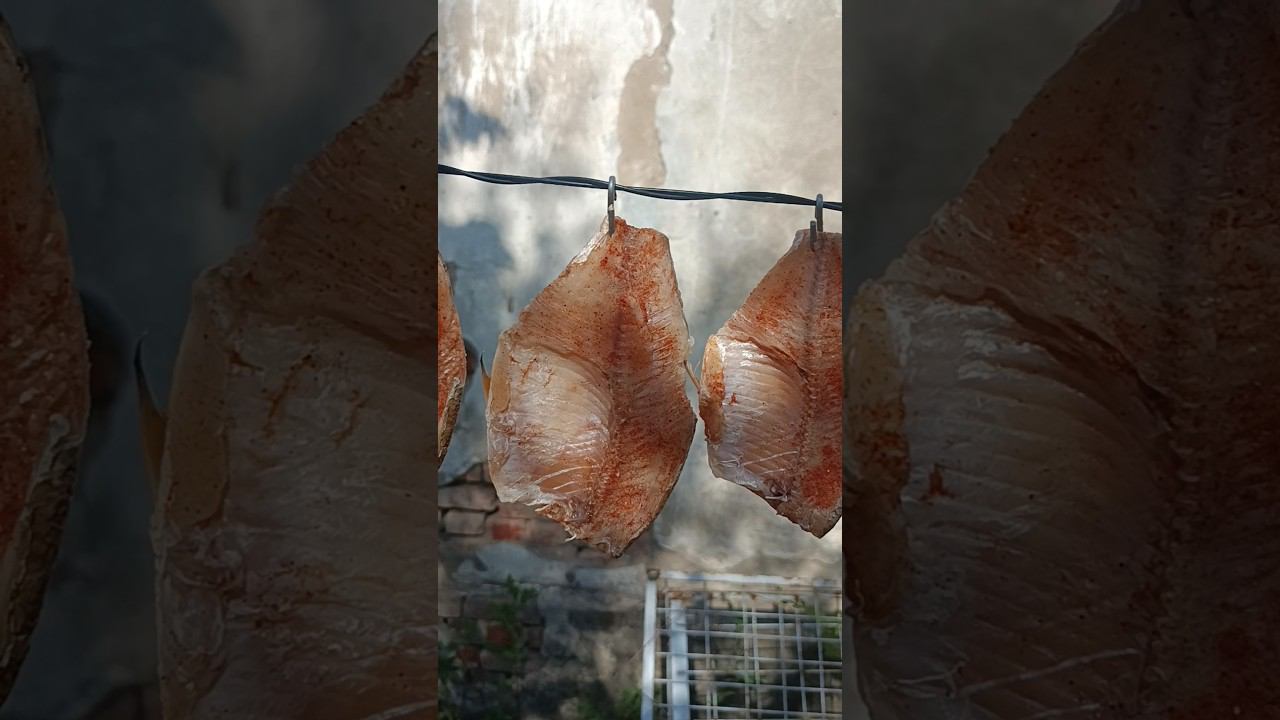 Янтарная густера. смотреть онлайн