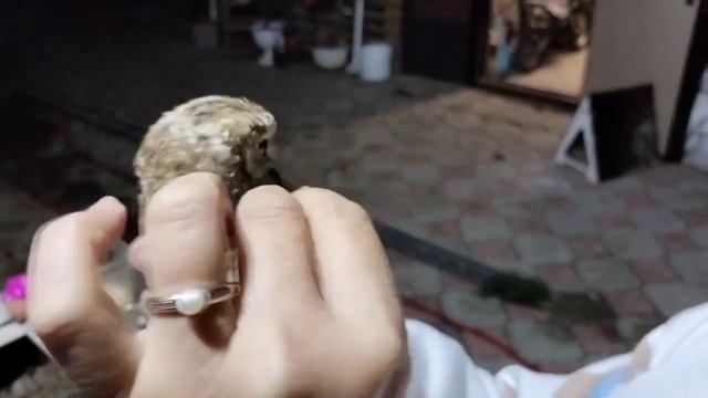 30 сентября 2023 г. смотреть онлайн