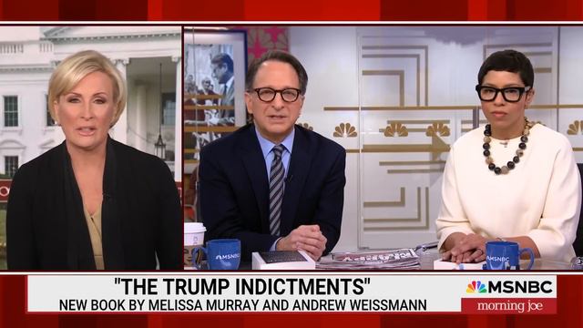 'Wouldn't put money on' Florida, Georgia cases happening before election, legal experts predict смотреть онлайн