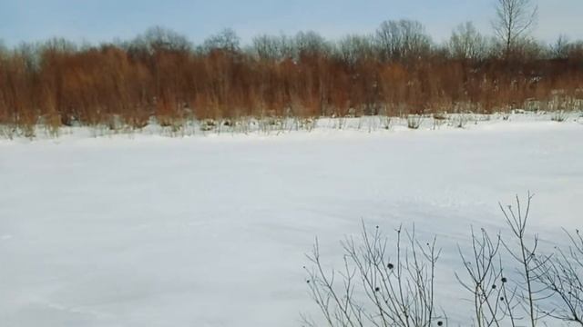 Весна ТЫ ГДЕ? Пермь и Пермский край конец МАРТА. ЖДЁМ ОТКРЫТУЮ ВОДУ. #спиннинг #рыбалка смотреть онлайн