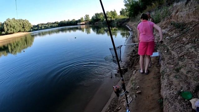 ерик Ашулук, Харабалинский район, Астраханская область. август 2022 смотреть онлайн