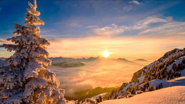 Когда есть что терять. О ваших жизненных приоритетах