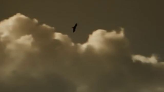 Enigma - Callas Went Away смотреть онлайн