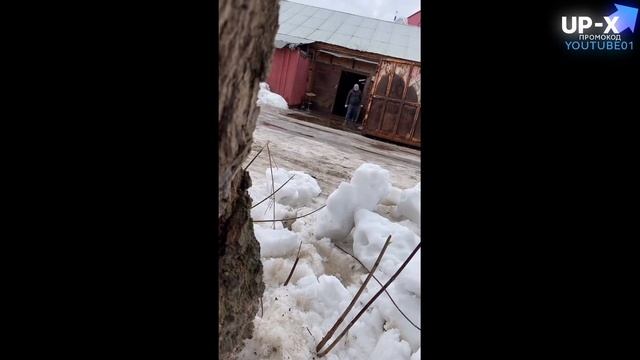 тик ток играет в гта 6 смотреть онлайн