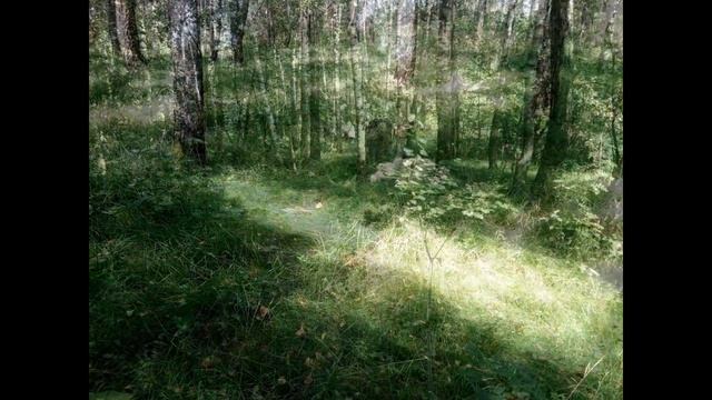 6.08.2017 г. ЭКСКУРСИЯ НА ФИЛАТОВ ЛУГ И ХОВАНСКУЮ ДУБРАВУ. Москва. смотреть онлайн