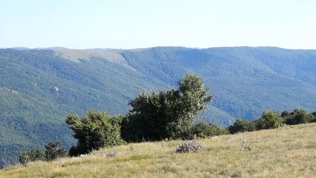Видеозапись видов из южной части плато горы Сотира 3 июля 2018 года смотреть онлайн