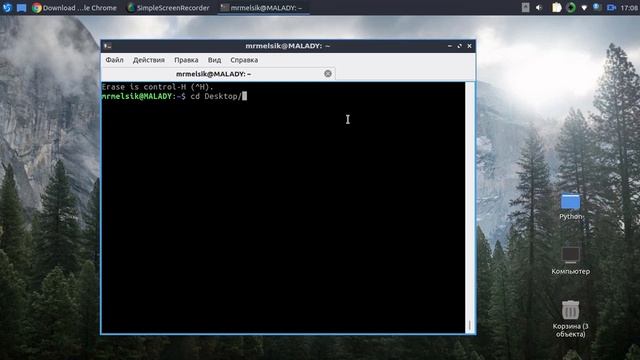Как скачать Python на Linux? | MrMelsik смотреть онлайн