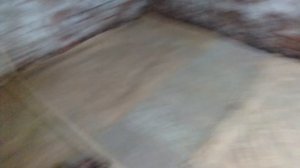 Отделка помещения для выращивания грибов