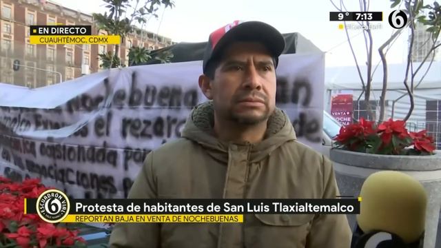 Productores de nochebuenas de Xochimilco protestan en el Zócalo por bajas ventas смотреть онлайн