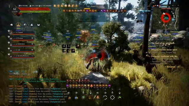 Black Desert Xbox One/Ps4 PvP Montage #21 (Wizard/Archer) смотреть онлайн